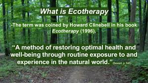 What Is Ecotherapy? – A New Vision For Mental Health